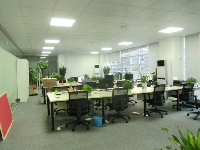 甘肃网络货运平台软件排名